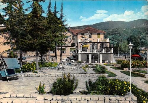 Cartolina Spinone Villa Armanda Ristorante Menarini anni '60