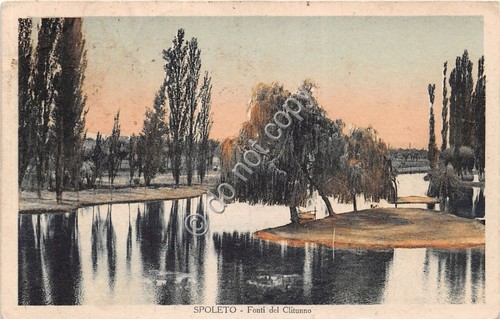 Cartolina Spoleto Fonti del Clitunno Illustrata 1934 (Perugia)