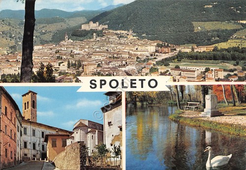Cartolina Spoleto vedute varie città anni '70