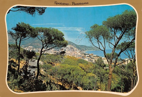 Cartolina Spotorno panorama da pini grafica