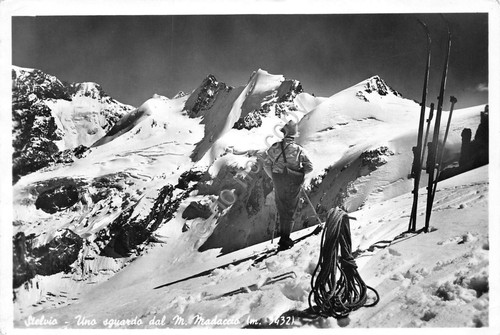 Cartolina Stelvio dal Monte Madaccio scalatore alpinista sci anni '60