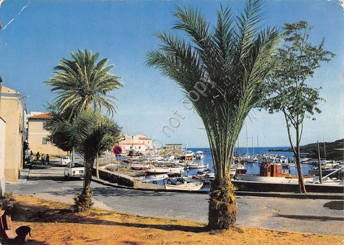 Cartolina Stintino Porticciolo (Sassari)