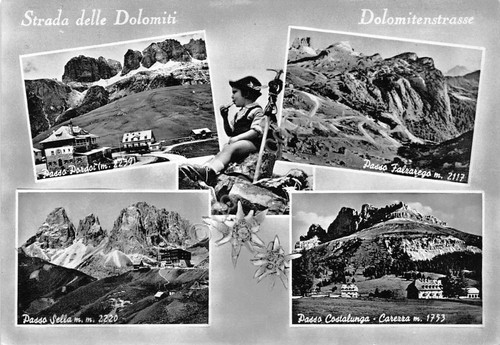 Cartolina Strada delle Dolomiti vedute animata (Trento)