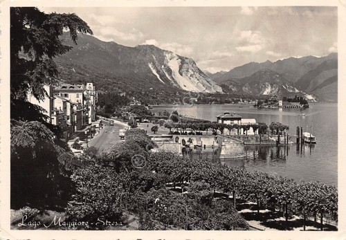Cartolina Stresa Lago Maggiore panorama lungolago 1955