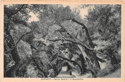 Cartolina Subiaco Sacro Speco Boschetto