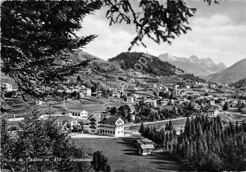 Cartolina Tai di Cadore Panorama 1959 (Belluno)