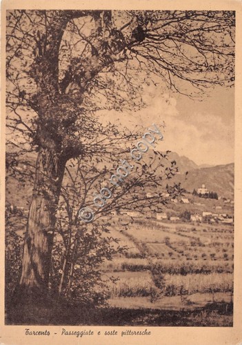 Cartolina Tarcento panorama parziale 1947