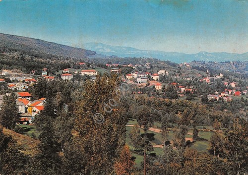 Cartolina Tarsogno panorama 1977