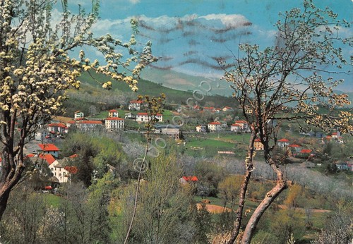 Cartolina Tarsogno panorama paese con case 1979