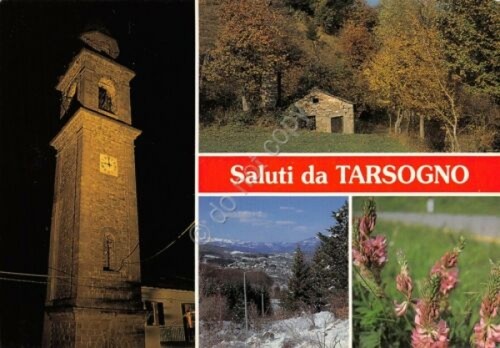 Cartolina Tarsogno Vedute notturno (Parma)