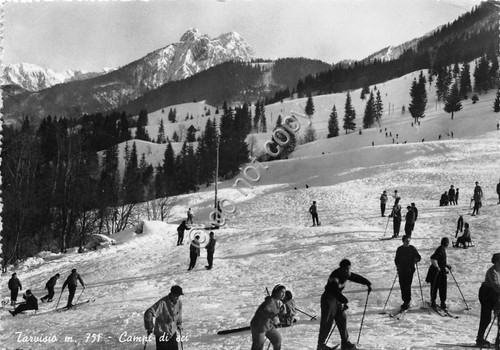 Cartolina Tarvisio Campi di sci sciatori
