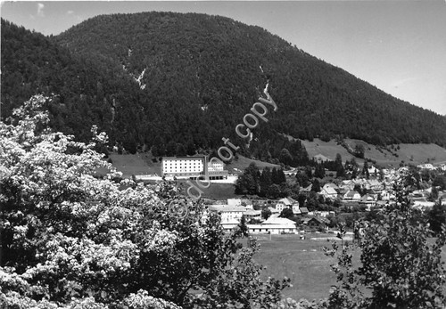 Cartolina Tarvisio Panorama e Colonia Alpina 1950