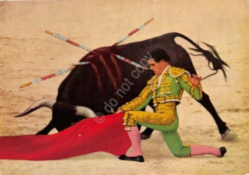 Cartolina Tauromachia suerte de muleta 1957