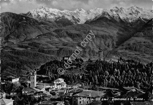 Cartolina Teglio Panorama e Torre