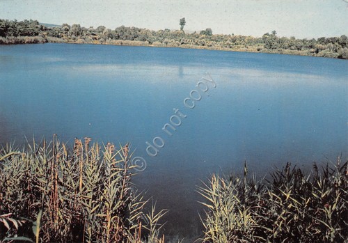 Cartolina Telese Terme Lago anni '70