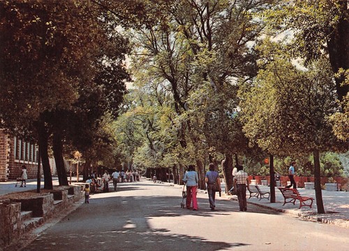 Cartolina Tempio Pausania Viale della Fonte Nuova animata