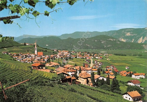Cartolina Termeno Sud Tirolo Panorama (Bolzano)