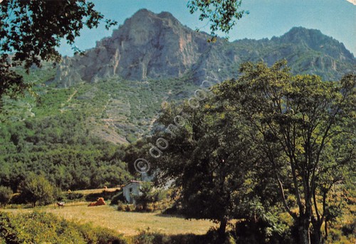 Cartolina Terminio comprensorio turistico vetta casolare cavallo