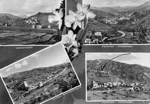 Cartolina Terrarossa Ferrada vedute anni '50