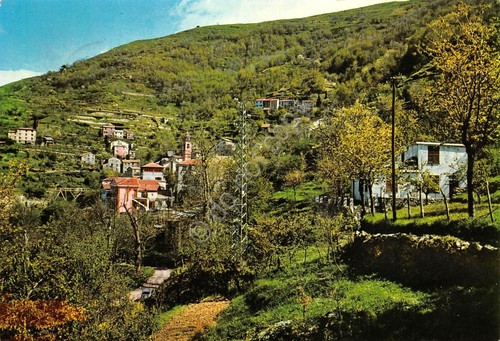 Cartolina Terusso Val Lentro panorama 1970