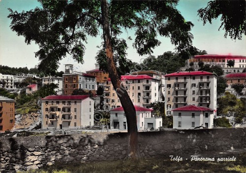 Cartolina Tolfa panorama parziale colorata 1961