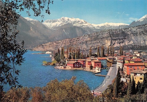 Cartolina Torbole Lago di Garda veduta paese dall'alto strada case