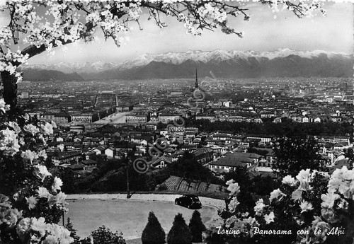Cartolina Torino panorama con Alpi ed SACAT anni '50
