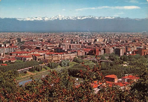 Cartolina Torino Panorama Ed Quaranta