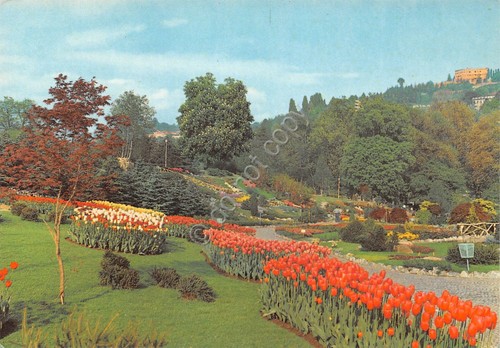 Cartolina Torino Valentino al retro Tubi Lux XLVI Congresso Oftalmologia …