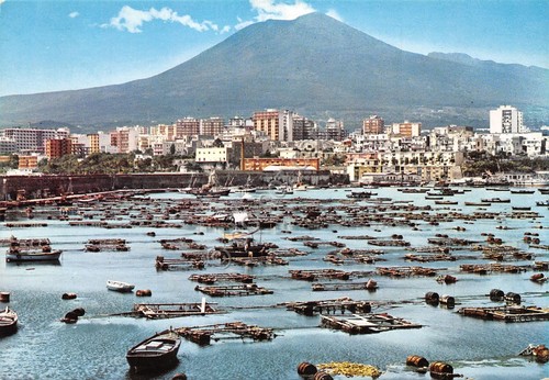 Cartolina Torre Annunziata panorama parziale del porto e Vesuvio anni …