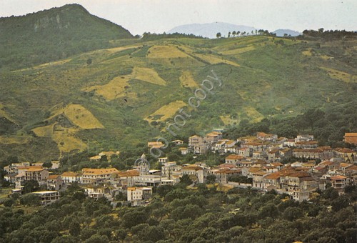 Cartolina Torre Orsaia panorama paese case anni '80