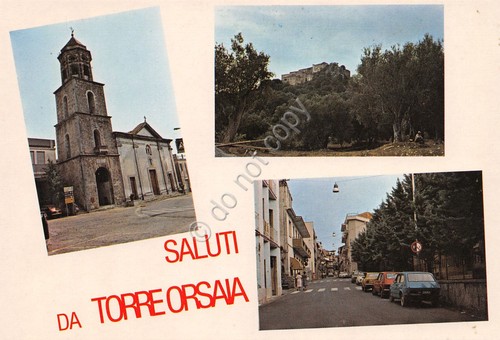 Cartolina Torre Orsaia vedute varie paese case anni '80