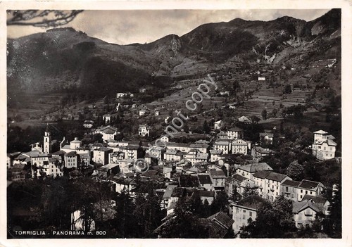 Cartolina Torriglia Panorama 1951