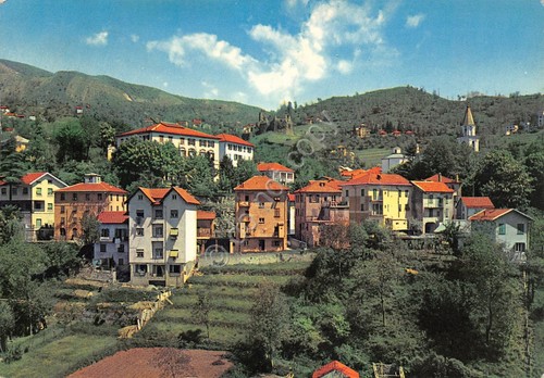 Cartolina Torriglia panorama case 1962 grinza