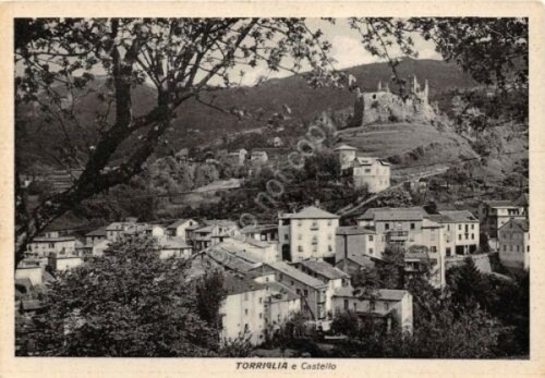 Cartolina Torriglia Panorama Castello 1956 (Genova)