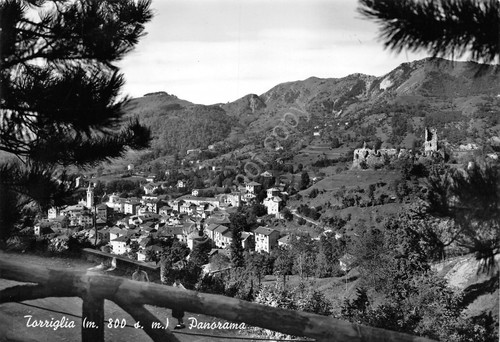 Cartolina Torriglia Panorama da belvedere anni '50