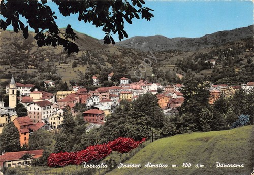 Cartolina Torriglia panorama parziale case 1959