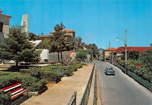 Cartolina Tramutola Corso Umberto I