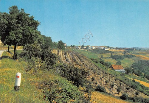 Cartolina Tre Cunei Albaretto panorama 1983