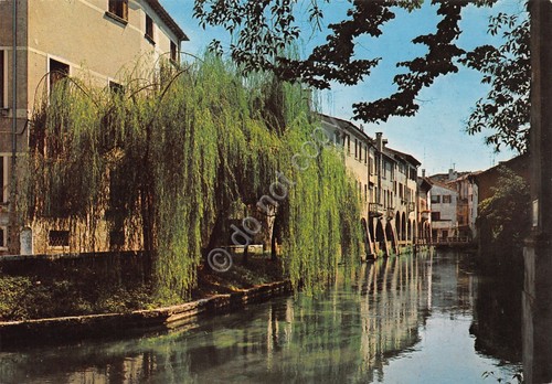 Cartolina Treviso Buranelli fiume case anni '70