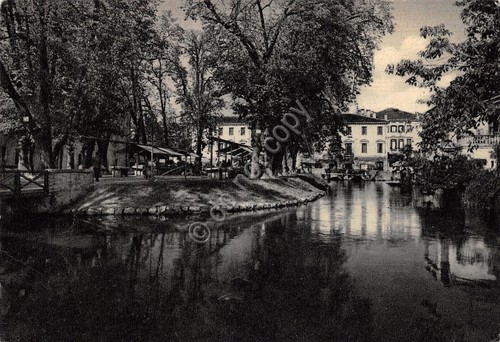 Cartolina Treviso Pescheria Mercato del pesce