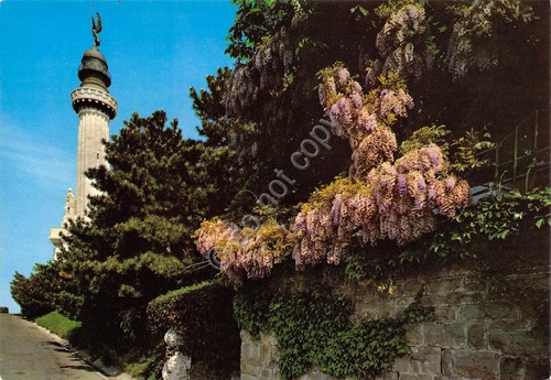Cartolina Trieste Faro della Vittoria pianta di glicine