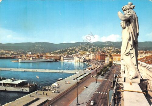 Cartolina Trieste panorama anni '60