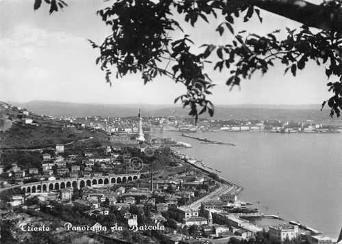 Cartolina Trieste panorama da Barcola anni '50