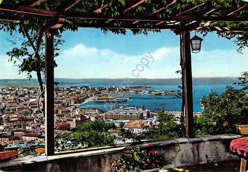 Cartolina Trieste Panorama da terrazza