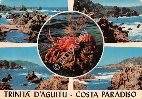 Cartolina Trinità d'Agultu saluti da vedutine aragosta (Altre tematiche)