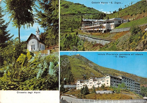 Cartolina Trivero Panoramica Zegna vedute timbro a targhetta Albergo Bielmonte