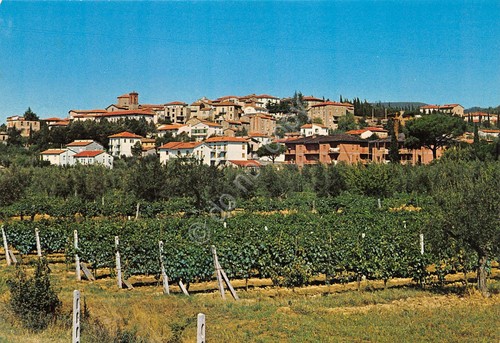 Cartolina Tuoro sul Trasimeno panorama paese e vigne anni '80
