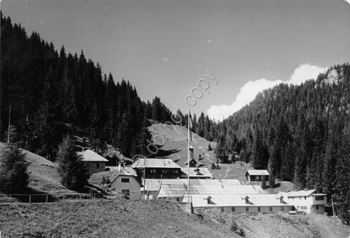 Cartolina Ugovizza Tarvisio Villaggio Alpino di Monte Cocco anni '50