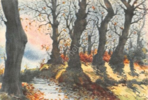 Cartolina Ultime foglie Illustrata Fasolis